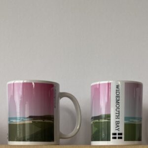 widemouth bay mug